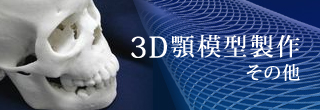 3D顎模型製作その他